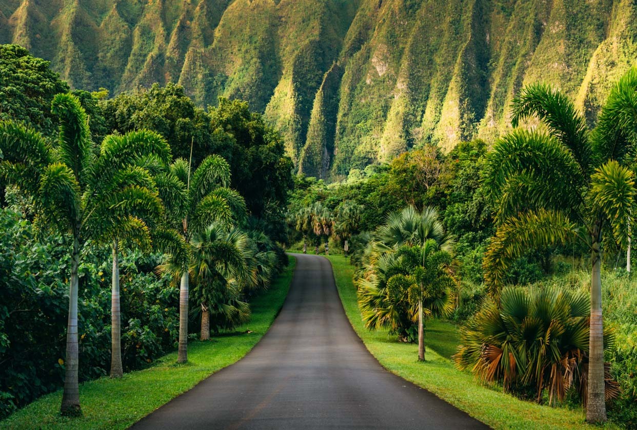20+ AMAZING THINGS TO DO IN OAHU, HAWAII IN 2022