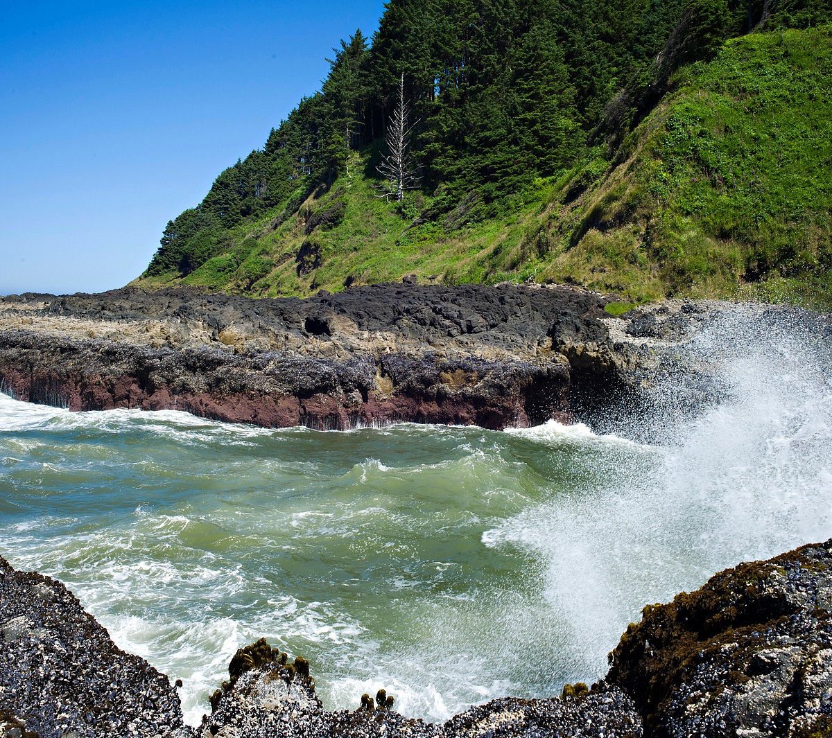 Top 11 Best Things To Do In Yachats With Your Family (2022)